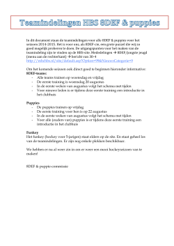 HBS 8DEF-puppies teamindelingen