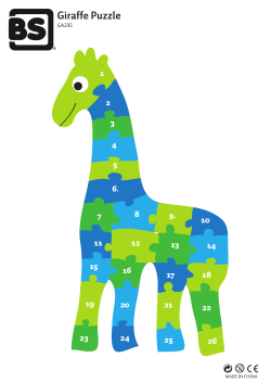 Giraf puzzel - Buitenspeel