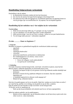 Handleiding Snijpracticum varkensknie