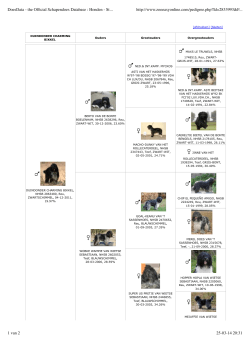 DoesData - the Official Schapendoes Database : Honden