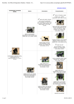 DoesData - the Official Schapendoes Database : Honden