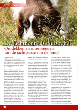 jachtpassie duitse staande hond