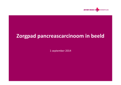 Zorgpad pancreascarcinoom in beeld