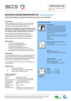 Bicholin Ijzerglimmerverf Giet/dompelkwaliteit