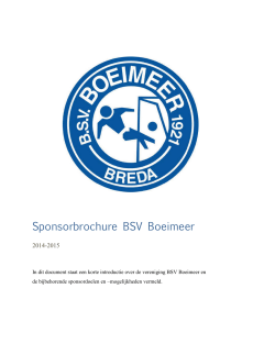 Sponsorbrochure BSV Boeimeer
