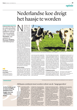 artikel: Nederlandse koe dreigt het haasje te worden