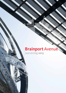 Jaarverslag 2013 - Brainport Avenue