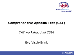 Comprehensive Aphasia Test (CAT) CAT workshop juni 2014 Evy