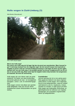 Holle wegen in Zuid-Limburg (3)