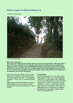 Holle wegen in Zuid-Limburg (3)