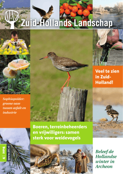 Download als PDF - Het Zuid