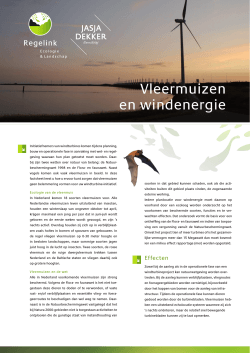 Factsheet vleermuizen en windturbines