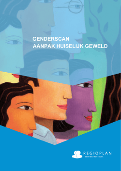 Eindrapport Genderscan aanpak huiselijk geweld