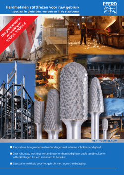 Hardmetalen stiftfrezen voor ruw gebruik (2,39 MB)