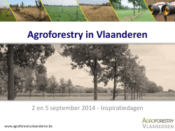 Agroforestry in Vlaanderen