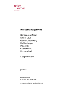 Koepelnotitie Onderzoeken Risicomanagement