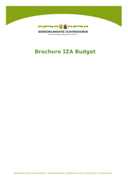 IZA budget Brochure