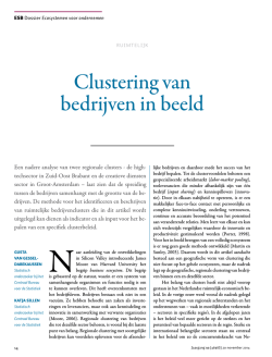 Clustering van bedrijven in beeld