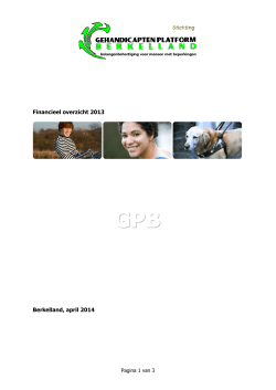 2013 financieel jaarverslag.doc - Gehandicaptenplatform Berkelland