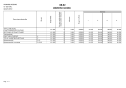 Fast Report Document