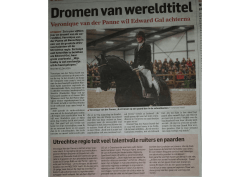Dressuurtalent