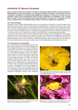 Download - Bestuivers.NL
