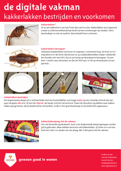 Kakkerlakken bestrijden en voorkomen