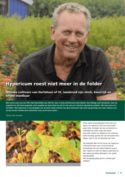 Hypericum roest niet meer in de folder - Boom-In