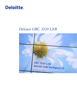 Download het verslag GRC LAB 2020