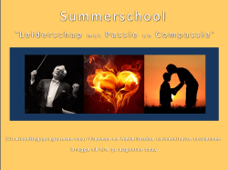 Brochure Summerschool 12-06-2014