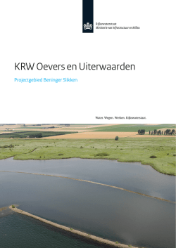 Factsheet Beninger Slikken