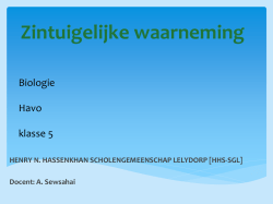 HAVO_LES_Zintuigelijke_waarneming