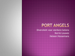 Port Angels - Deltavisie 2014