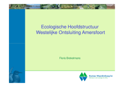 Ecologische Hoofdstructuur Westelijke Ontsluiting Amersfoort