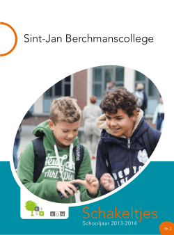 Schakeltjes december 2013 - Sint