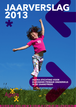 Jaarverslag 2013