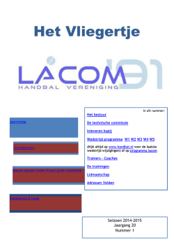 Het Vliegertje
