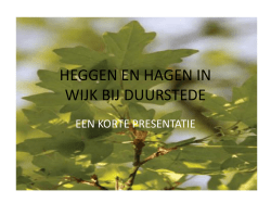 HEGGEN EN HAGEN IN WIJK BIJ DUURSTEDE