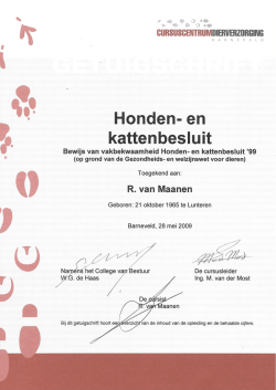 HKB diploma