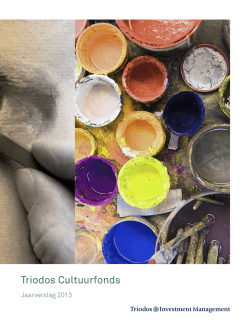 Jaarverslag Triodos Cultuurfonds 2013