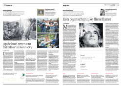 Een ogenschijnlijke flierefluiter