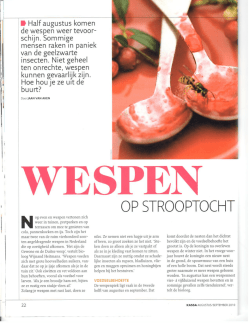Wespen op strooptocht – Kassa