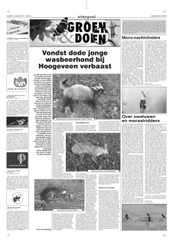 Vondst dode jonge wasbeerhond bij Hoogeveen verbaast