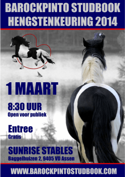 HIER - Barockpinto Studbook
