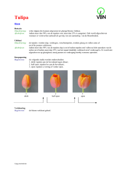 Tulipa beoordelingskaart