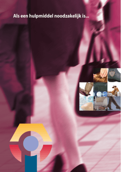 Brochure SEMH.indd