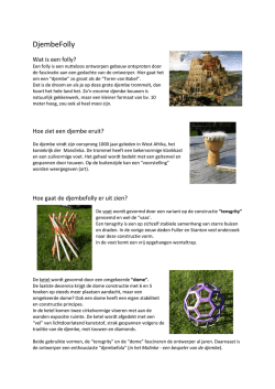 DjembeFolly - Stichting Amonet