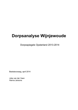 Dorpsanalyse Wijnjewoude