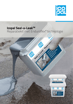 Seal-a-Leak Reparatiekit