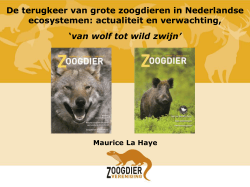 De terugkeer van grote zoogdieren in Nederlandse